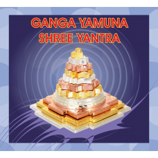 Meru Prushth Shree Yantra